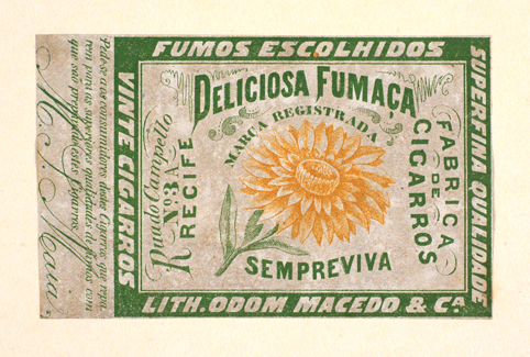 vizualizar o documento on line